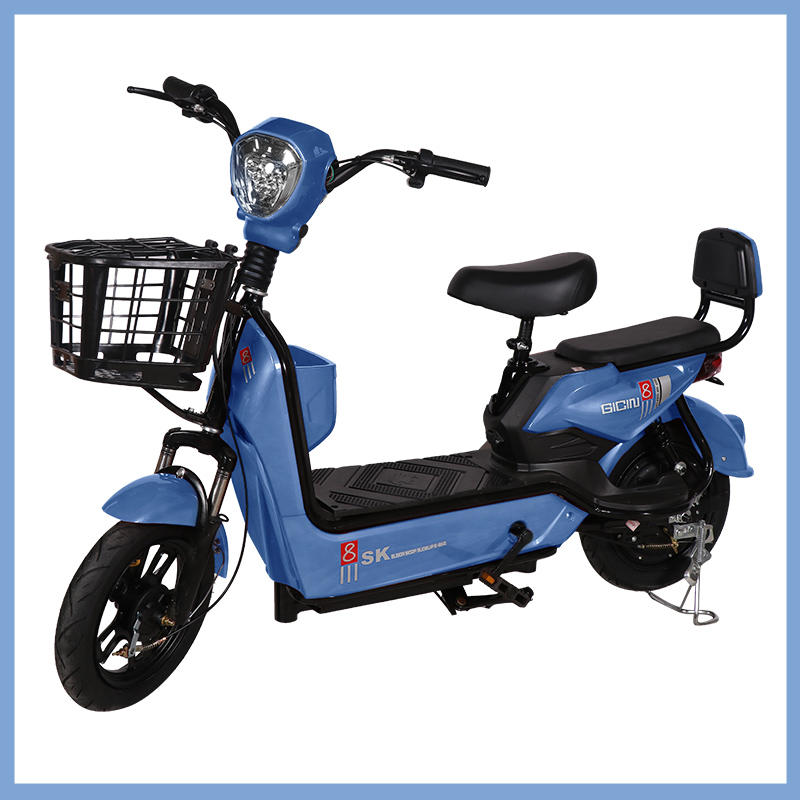 YTYIN 도매 시티 전기 자전거 다채로운 전기 자전거 - Electric Scooter 500W 리뷰 및 가격
